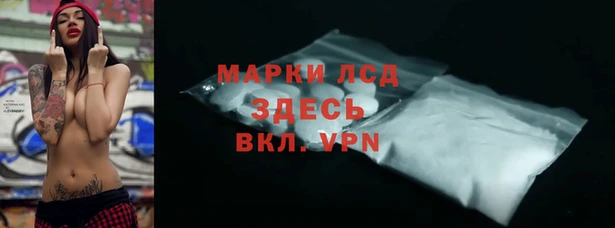ПСИЛОЦИБИНОВЫЕ ГРИБЫ Слюдянка