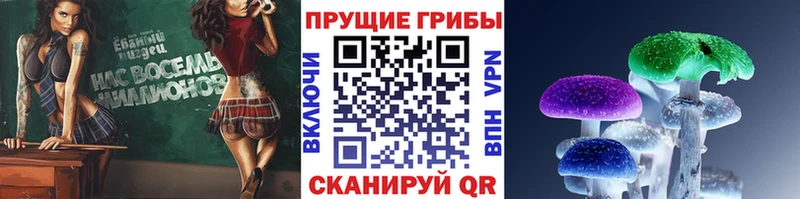 Псилоцибиновые грибы Psilocybine cubensis Тутаев