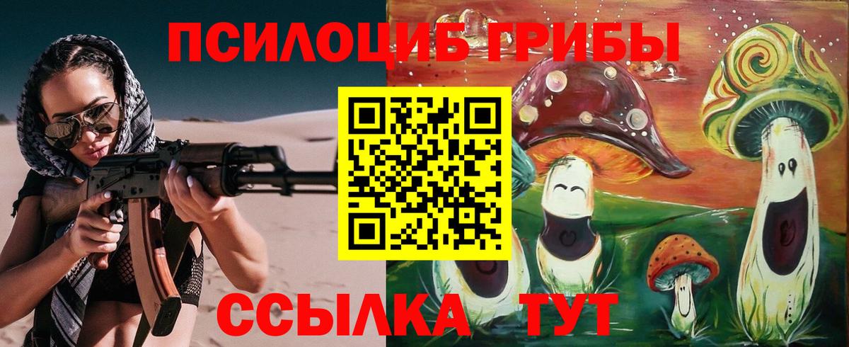 Галлюциногенные грибы мухоморы  Тутаев 