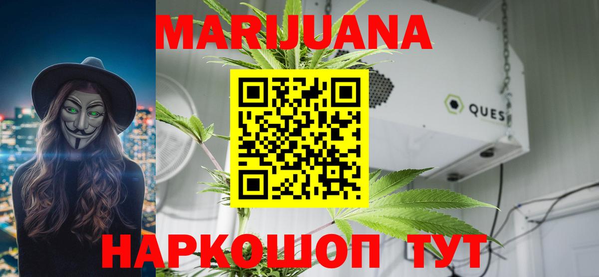 Каннабис SATIVA & INDICA Тутаев